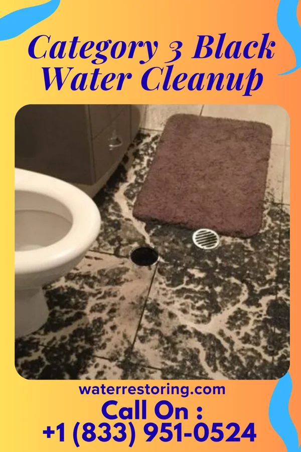 Category 3 Black Water Cleanup in Olivarez, TX